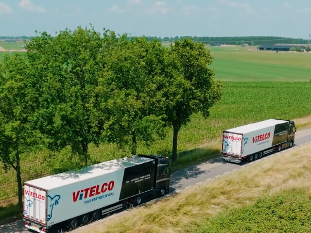 More than a kilometer of 'PALI Group' trucks